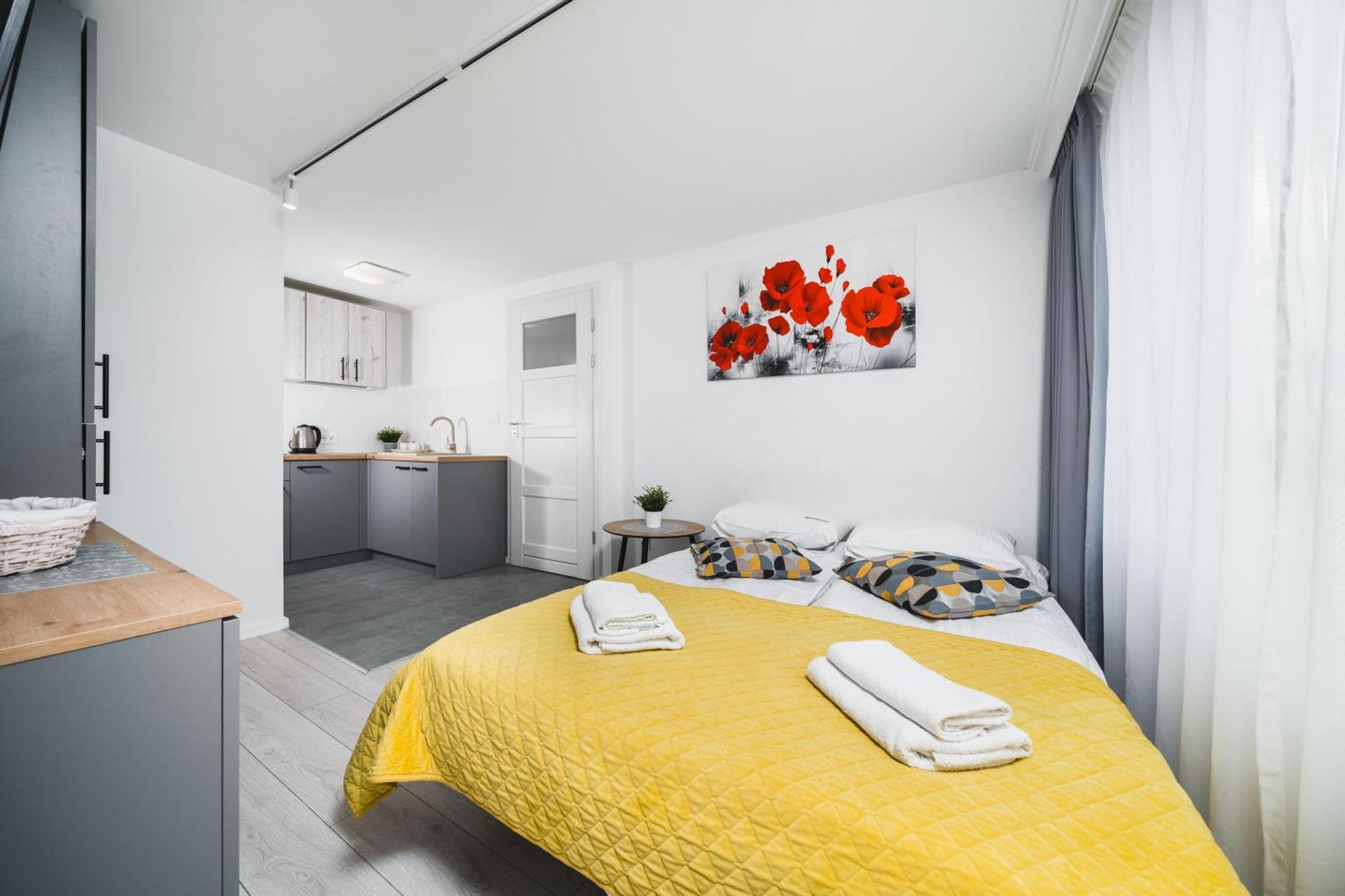 Ice Apartments Краків Екстер'єр фото